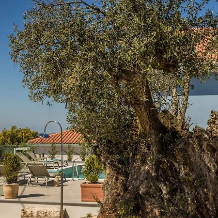 Summertime Villas Argostoli  Exterior photo